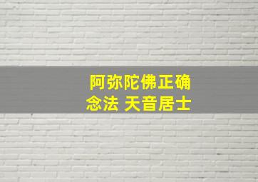 阿弥陀佛正确念法 天音居士